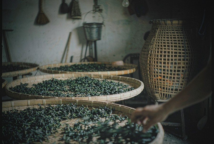 Traditional charcoal roasting craft in Dancong production